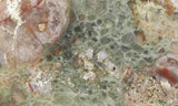 Coprolite Rock Slab 160