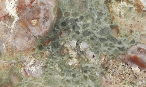 Coprolite Rock Slab 160