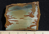 Owyhee Jasper Rock Slab 432