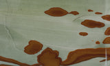 Owyhee Jasper Rock Slab 365