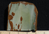 Owyhee Jasper Rock Slab 365