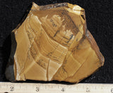 Owyhee Jasper Rock Slab 364