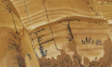 Owyhee Jasper Rock Slab 364