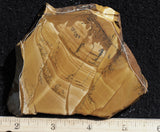 Owyhee Jasper Rock Slab 364