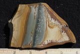 Owyhee Jasper Rock Slab 443