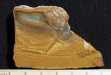 Owyhee Jasper Rock Slab 391