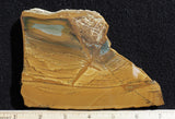 Owyhee Jasper Rock Slab 391