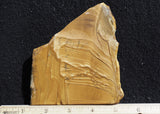 Owyhee Jasper Rock Slab 362