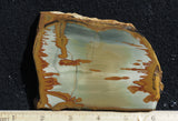 Owyhee Jasper Rock Slab 321