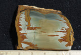 Owyhee Jasper Rock Slab 321
