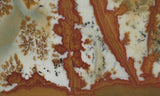 Owyhee Jasper Rock Slab 462