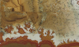 Owyhee Jasper Rock Slab 462