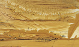 Owyhee Jasper Rock Slab 361