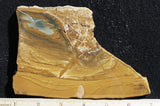 Owyhee Jasper Rock Slab 361