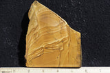 Owyhee Jasper Rock Slab 448