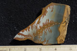 Owyhee Jasper Rock Slab 418