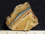 Owyhee Jasper Rock Slab 419