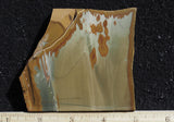 Owyhee Jasper Rock Slab 366