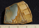 Owyhee Jasper Rock Slab 384