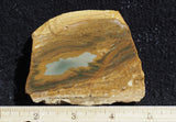 Owyhee Jasper Rock Slab 424