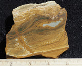 Owyhee Jasper Rock Slab 454