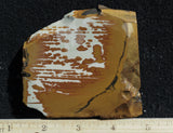 Owyhee Jasper Rock Slab 441