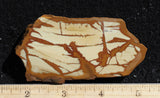 Owyhee Jasper Rock Slab 481