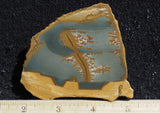 Owyhee Jasper Rock Slab 415