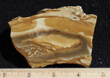Owyhee Jasper Rock Slab 322
