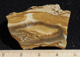 Owyhee Jasper Rock Slab 322