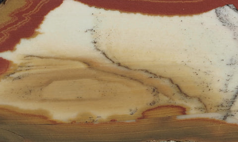 Owyhee Jasper Rock Slab 392
