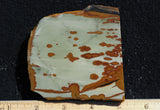 Owyhee Jasper Rock Slab 446