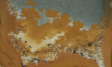 Owyhee Jasper Rock Slab 359