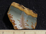 Owyhee Jasper Rock Slab 480