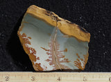 Owyhee Jasper Rock Slab 480