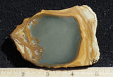 Owyhee Jasper Rock Slab 479