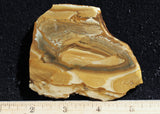 Owyhee Jasper Rock Slab 356