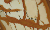 Owyhee Jasper Rock Slab 378