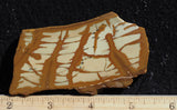 Owyhee Jasper Rock Slab 378