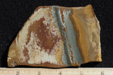 Owyhee Jasper Rock Slab 421