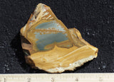 Owyhee Jasper Rock Slab 420