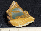 Owyhee Jasper Rock Slab 420