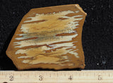 Owyhee Jasper Rock Slab 329