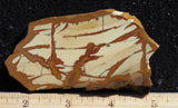 Owyhee Jasper Rock Slab 400