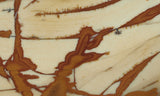 Owyhee Jasper Rock Slab 400