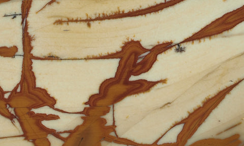 Owyhee Jasper Rock Slab 400