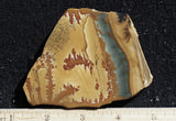 Owyhee Jasper Rock Slab 412