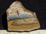 Owyhee Jasper Rock Slab 411