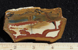 Owyhee Jasper Rock Slab 319