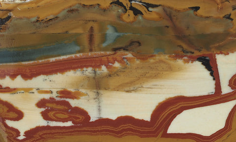 Owyhee Jasper Rock Slab 319